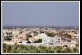 Oman (64).jpg